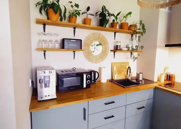 Boho House Klimatyczne Mieszkanie Z Ogrodkiem W Poblizu Plazy