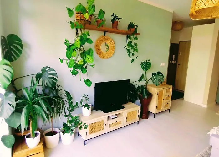 Boho House Klimatyczne Mieszkanie Z Ogrodkiem W Poblizu Plazy