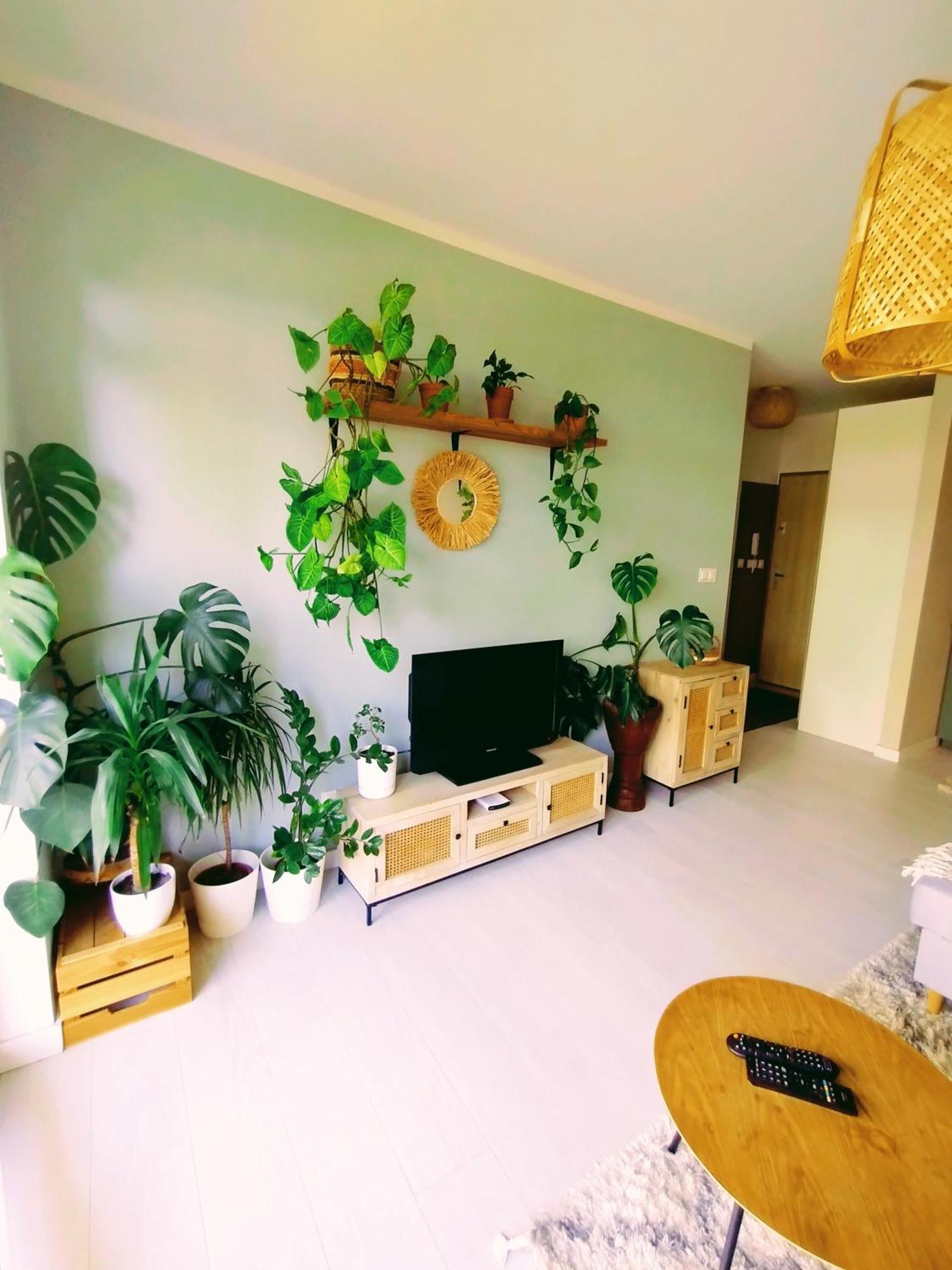 Boho House Klimatyczne Mieszkanie Z Ogrodkiem W Poblizu Plazy Apartment Gdynia